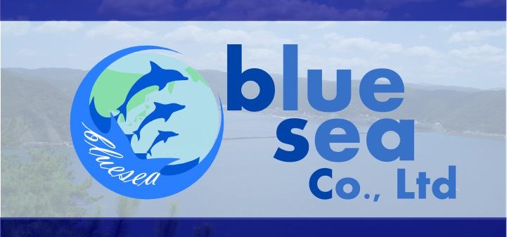 株式会社bluesea